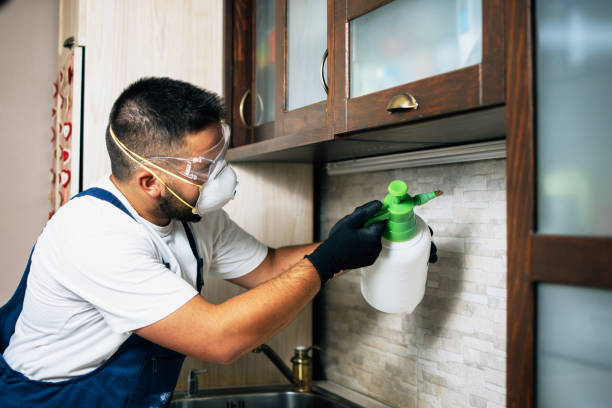 Best Bed Bug Extermination  in South Hempstead, NY